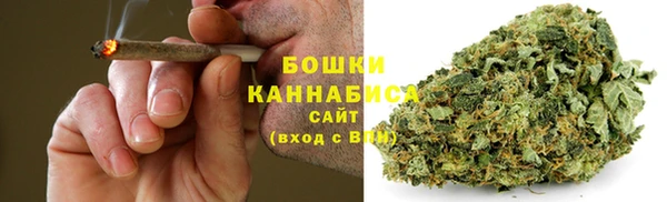 мдпв Карпинск
