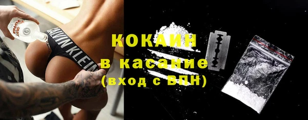 мдпв Карпинск