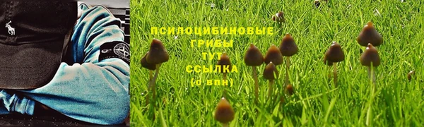 кокаин колумбия Каменка