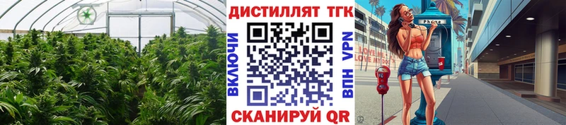 Купить где  Балахна  ТГК Wax 
