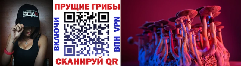 Псилоцибиновые грибы ЛСД  Купить  Балахна 