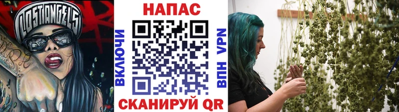 Каннабис семена  Купить закладки  Балахна 